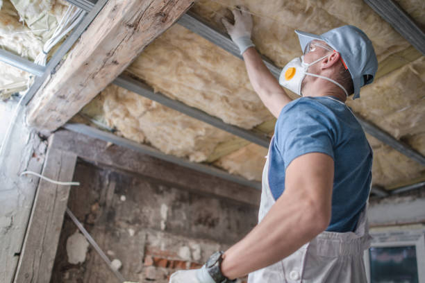 Best Types of Insulation in Salmon, ID